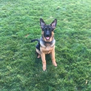 Meet your Posher, Becky